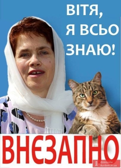 Бабуся, яка переписала хату на кота: інтернет жартує. ФОТО